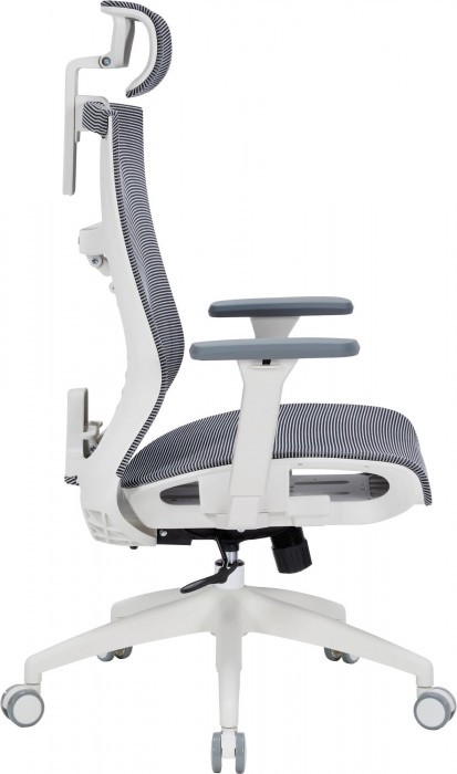 OfficePro Balance OC620