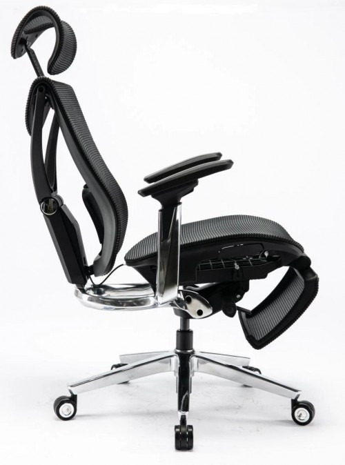 ADAPWORK S1 Mesh Pro Max Senior ErgoChair