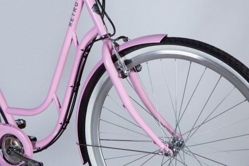 Dorozhnik Retro DD FR 250W 2025