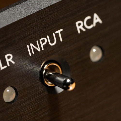 Violectric HPA V222