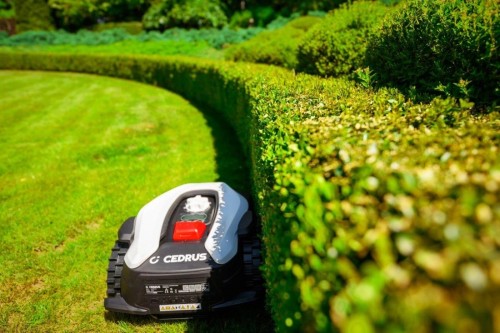 Cedrus C-MOW-M6+