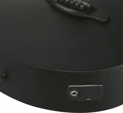 Ibanez AEG621