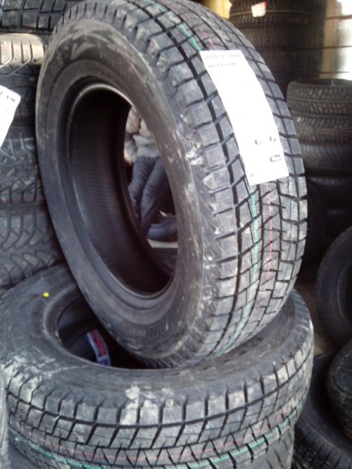 Bridgestone Blizzak DM-V1