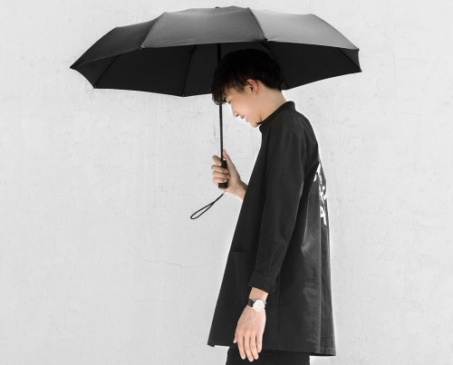 Xiaomi Mijia Automatic Umbrella