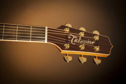 Takamine P7DC