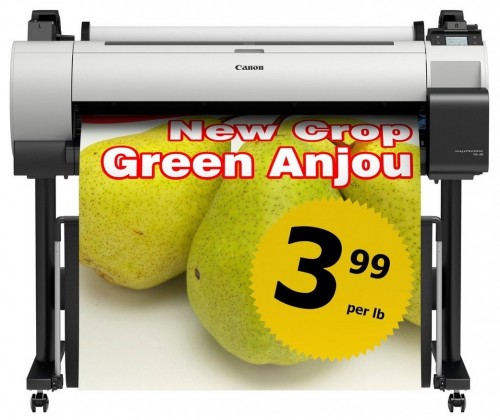 Canon imagePROGRAF TA-30