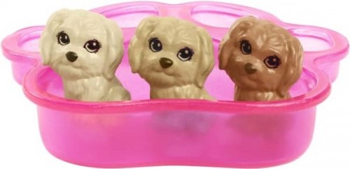 Barbie Doll And And Newborn Pups Playset With Dog HCK75