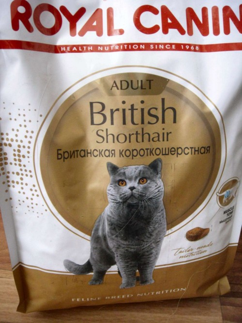 Royal Canin British Shorthair 34 2 kg