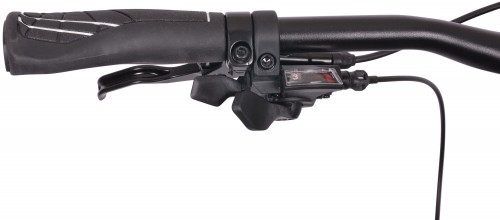 MBM Maxilux 29 2022
