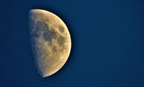 Nikon Coolpix P1000