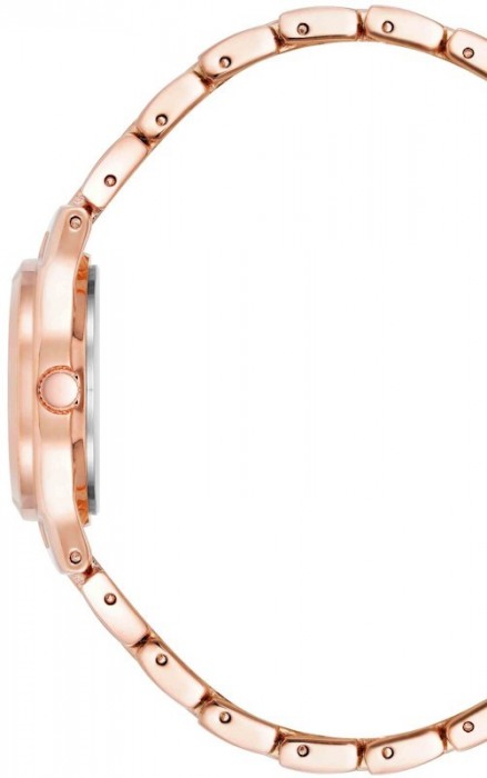 Anne Klein 10/5490GNRG