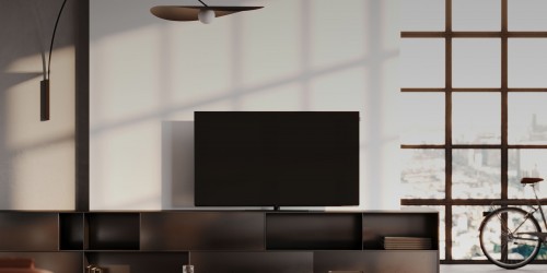 Loewe We. SEE 48 OLED