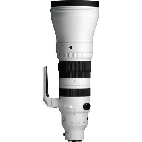 Sigma 300-600mm f/4.0 Sports OS DG