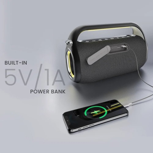 HiFuture MusicBox 100