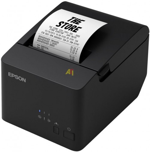 Epson TM-T20X USB + Serial