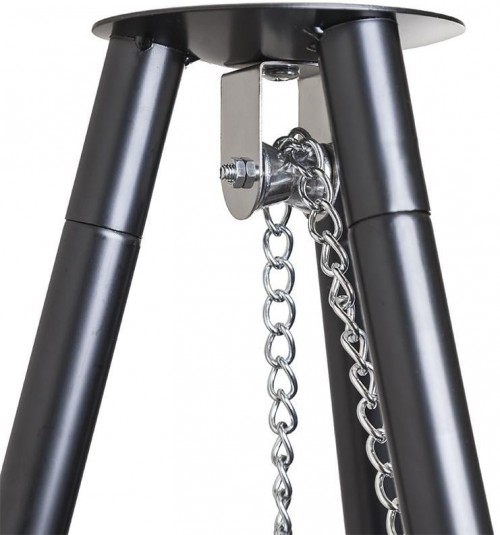 Levistella LV210719T