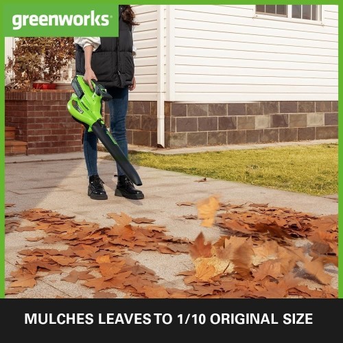 Greenworks GD40BVII 2406907
