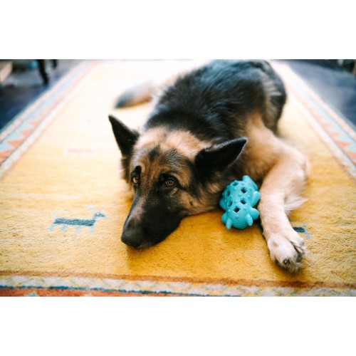 Sigma 35mm f/1.2 Art DG II