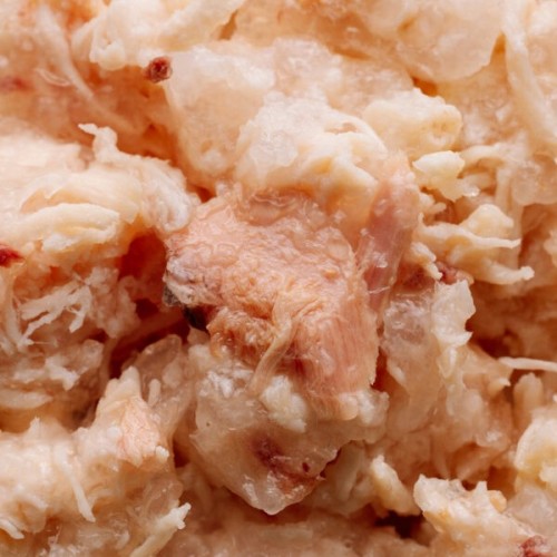 Savory Adult Cat Chicken/Tuna in Jelly 70 g