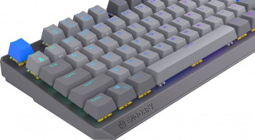 Endorfy Thock V2 TKL Wireless