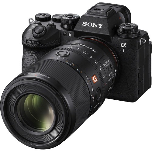 Sony 100mm f/2.8 GM FE Macro