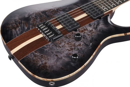 Ibanez RGA217P1PB
