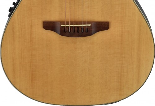 Applause Elite AE44