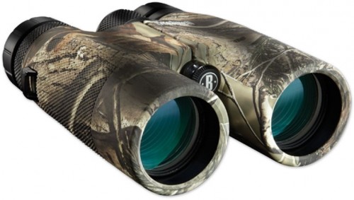 Bushnell Powerview 10x42