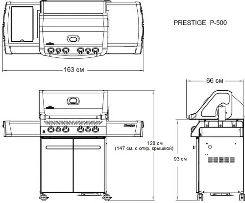 Napoleon P500