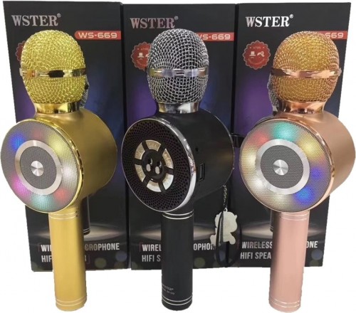 WSTER WS-669