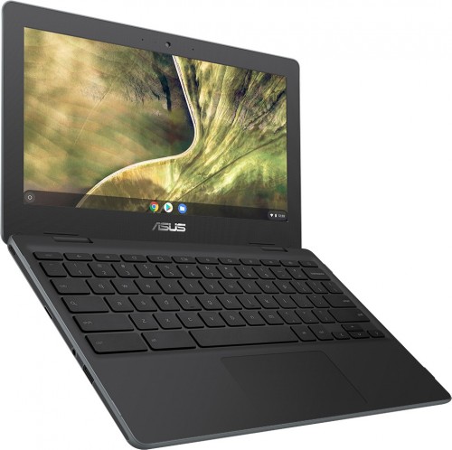 Asus Chromebook C204MA