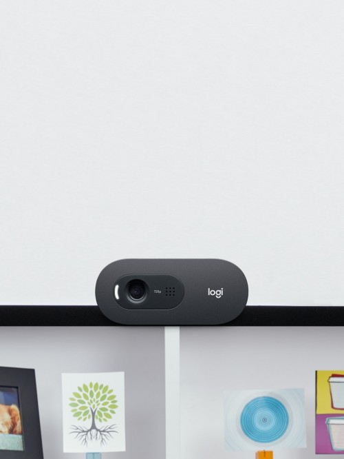 Logitech Webcam C505