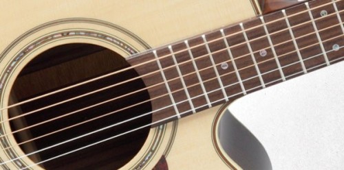 Takamine P5JC