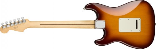 Fender Player Stratocaster Plus Top