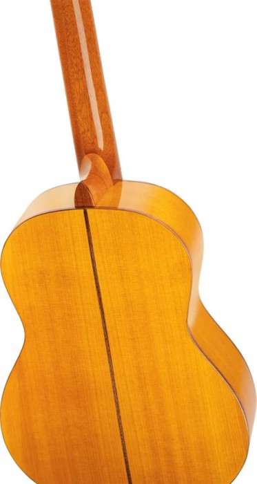 Ortega R170F