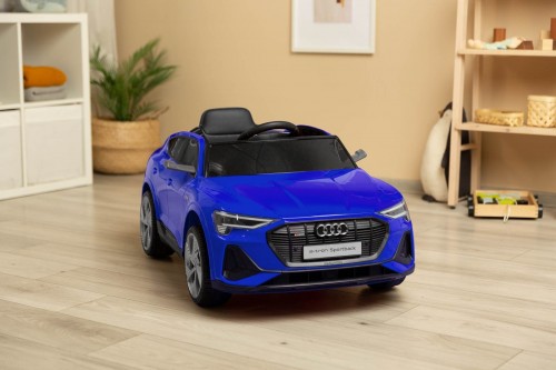 Toyz Audi Etron Sportback