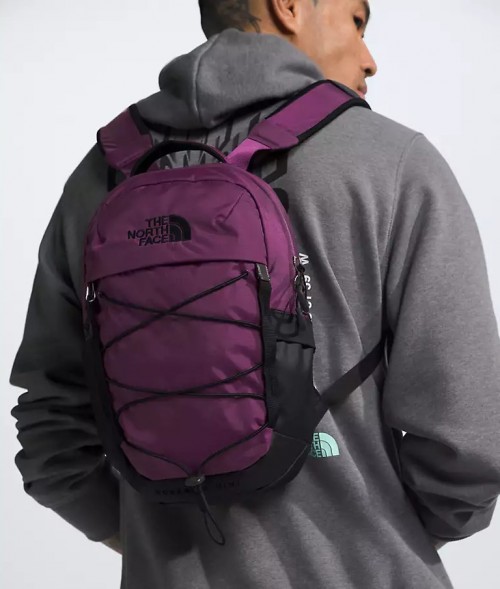 The North Face Borealis Mini