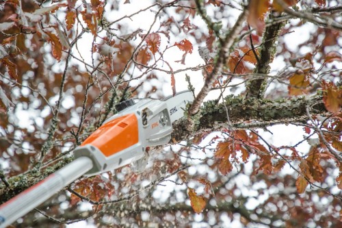 STIHL HTA 50