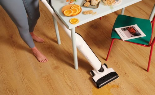 Roborock Flexi Lite