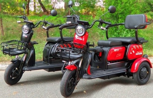 Maxxter ANT