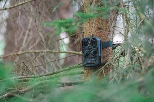 Braun Scouting Cam 800