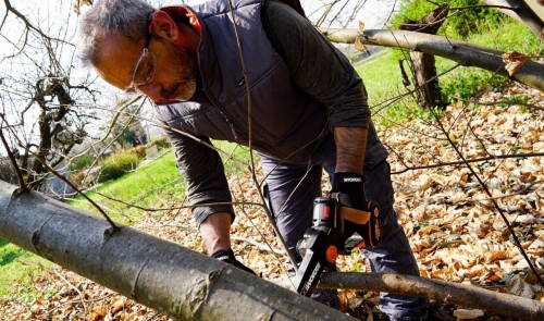 Worx WG325E