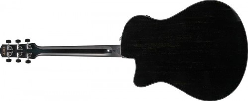 Ibanez AAM340CE