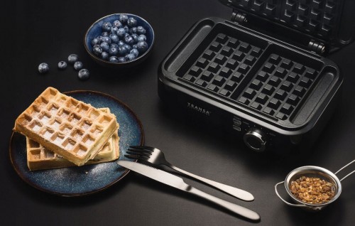 Transa Electronics TE-32