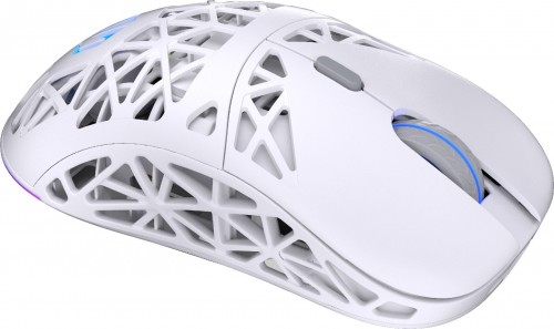 Endorfy LIV Wireless