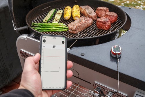 Weber iGrill mini