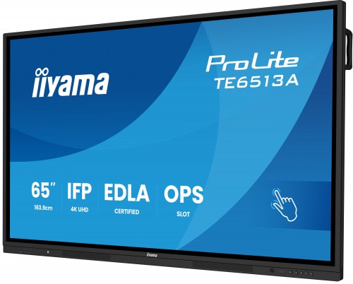 Iiyama ProLite TE6513A-B1AG