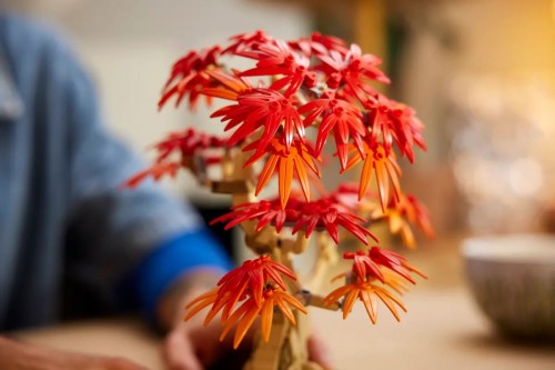 Lego Japanese Red Maple Bonsai Tree 10348