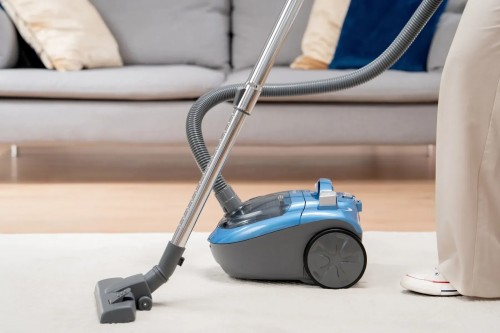 Zelmer Radek ZVC 032 P