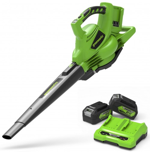 Greenworks GD24X2BVK4X 2405307UD